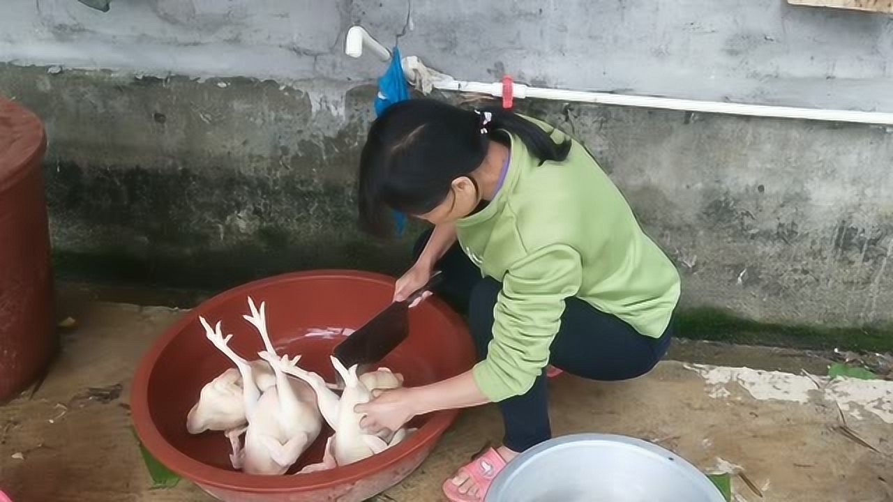 關(guān)于阿梅殺雞視頻的理性分析與網(wǎng)絡(luò )倫理道德探討，警惕涉黃內容侵蝕社會(huì )倫理底線(xiàn)。