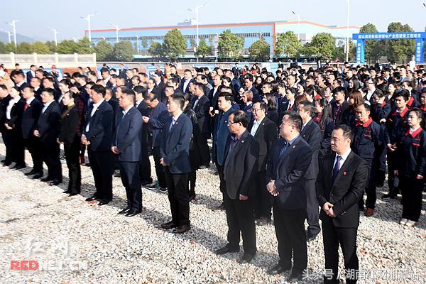 韶山紅網(wǎng)最新動(dòng)態(tài)，觀(guān)點(diǎn)闡述與深度解析