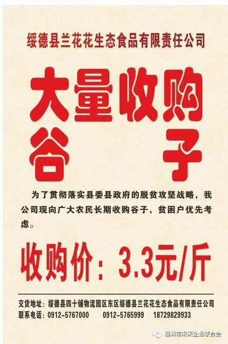 淄川最新財務(wù)招聘，職業(yè)發(fā)展的理想選擇