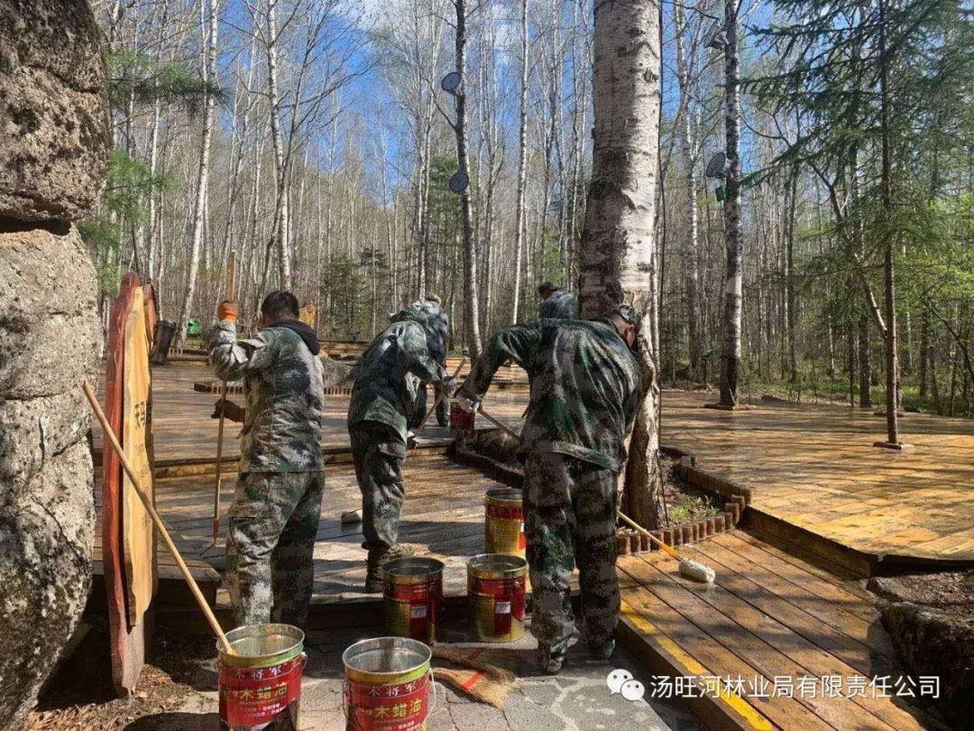 探尋神秘寶石世界的獨特魅力，最新奇石新聞報道