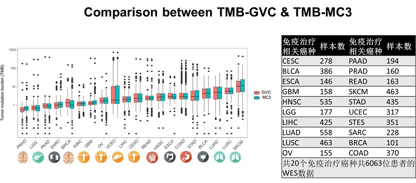 王中王375959cm開(kāi)獎結果,數據驅動(dòng)決策_SLF27.152融合版