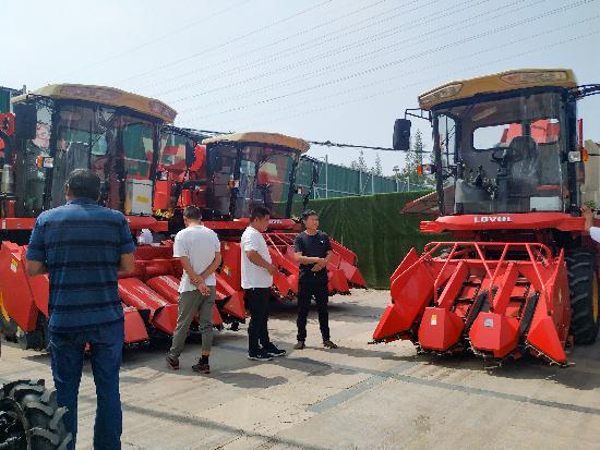 邳州玉米最新價(jià)格，時(shí)代見(jiàn)證下的市場(chǎng)動(dòng)態(tài)