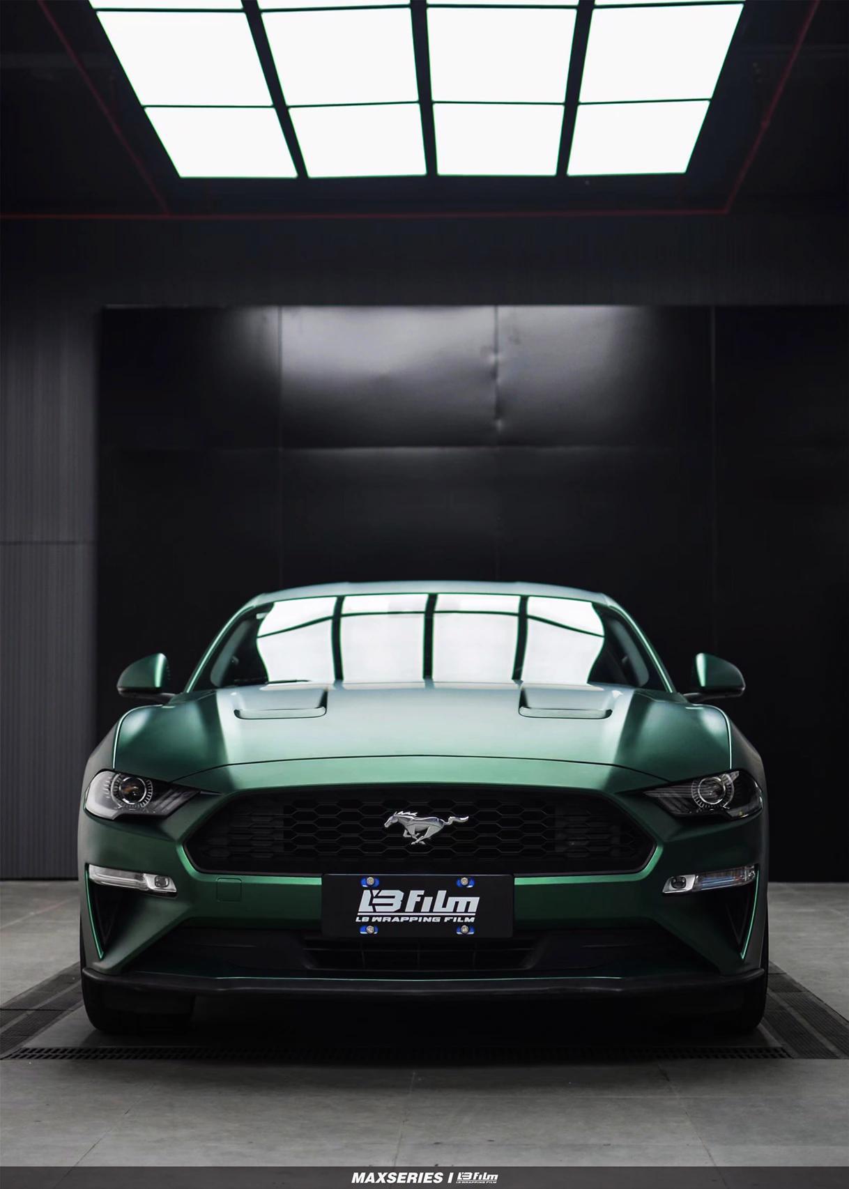 最新野馬汽車(chē)，技術(shù)革新與市場(chǎng)競爭的展現