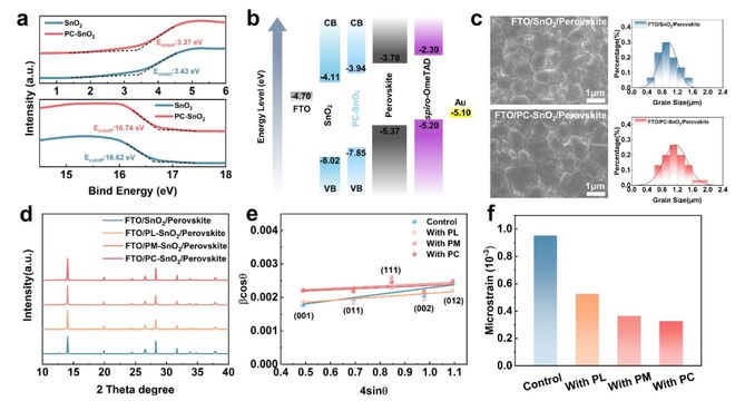新粵門(mén)六舍彩資料免費,高效性設計規劃_GDA10.649輕量版