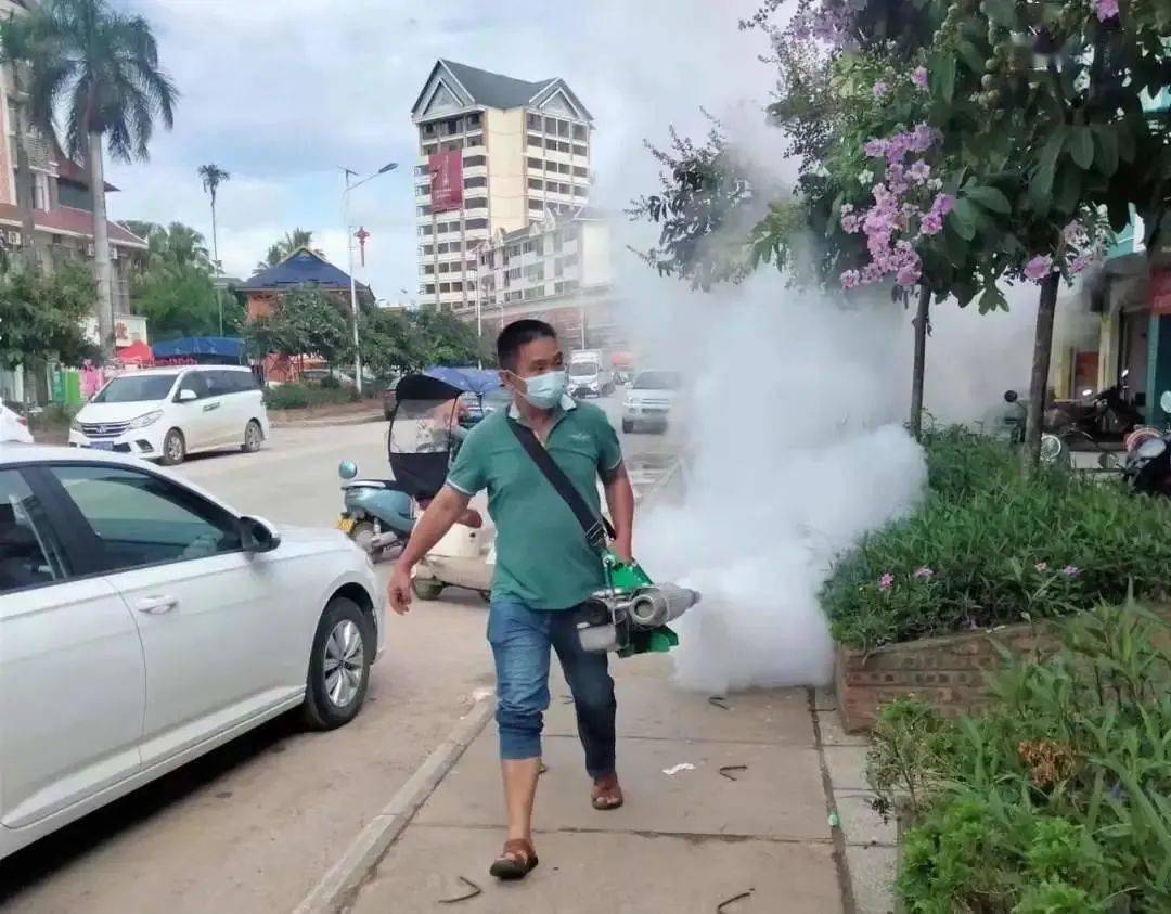 景洪登革熱最新疫情動(dòng)態(tài)，挑戰與自信之光的博弈