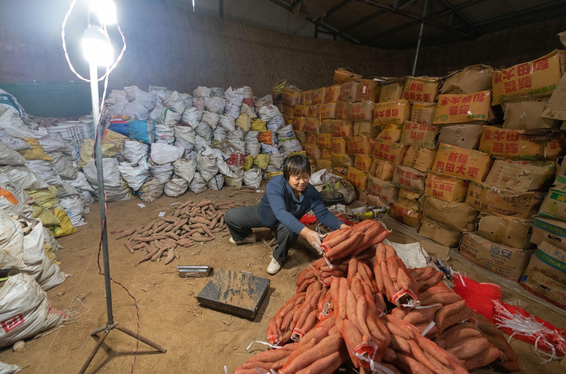 時(shí)代背景下的夏津地瓜最新市場(chǎng)價(jià)格觀(guān)察