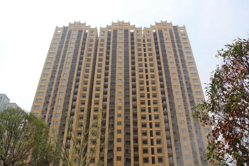 紫荊城邦最新動(dòng)態(tài)，揭開(kāi)未來(lái)生活新篇章的序幕