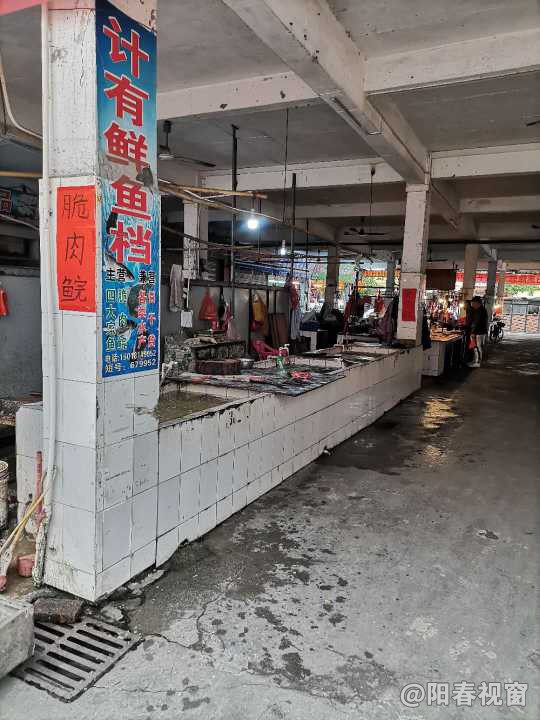 最新魚(yú)檔轉讓?zhuān)盐丈虣C，輕松開(kāi)啟水產(chǎn)養殖事業(yè)之路