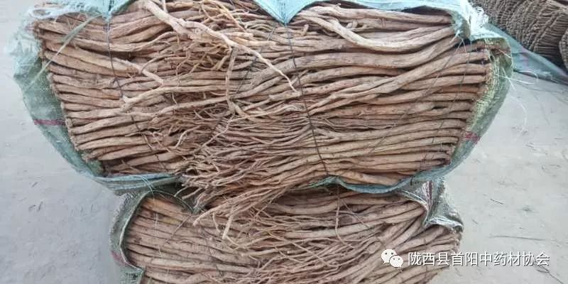 渭源黨參干貨最新價(jià)格及獲取指南，了解黨參干貨價(jià)格走勢與行情分析
