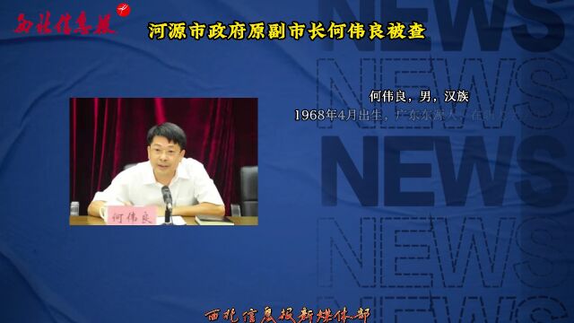 何偉良最新任免揭曉，日常故事中的溫馨轉折