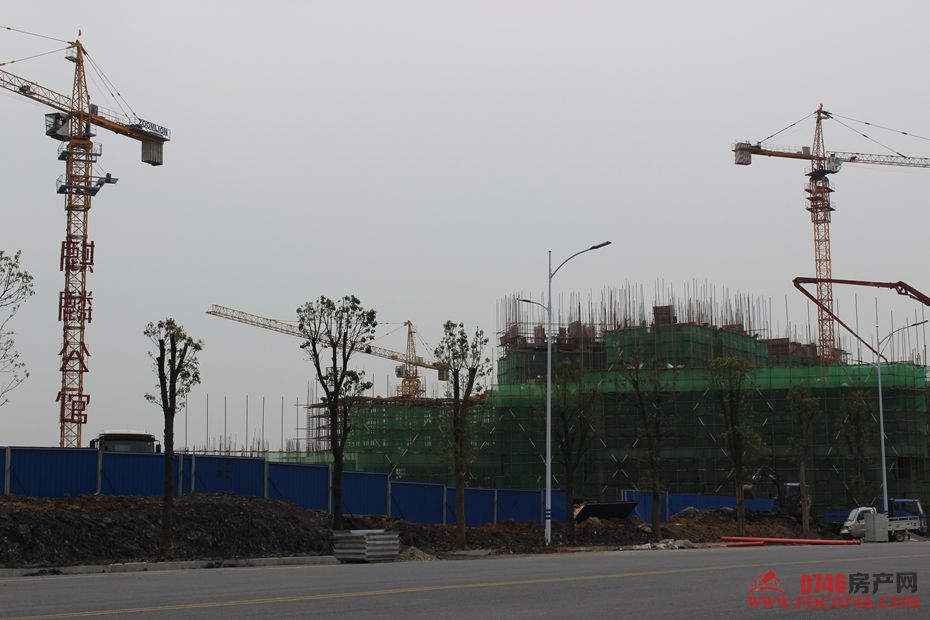 池州麒麟公館最新動(dòng)態(tài)揭秘，最新進(jìn)展與資訊更新