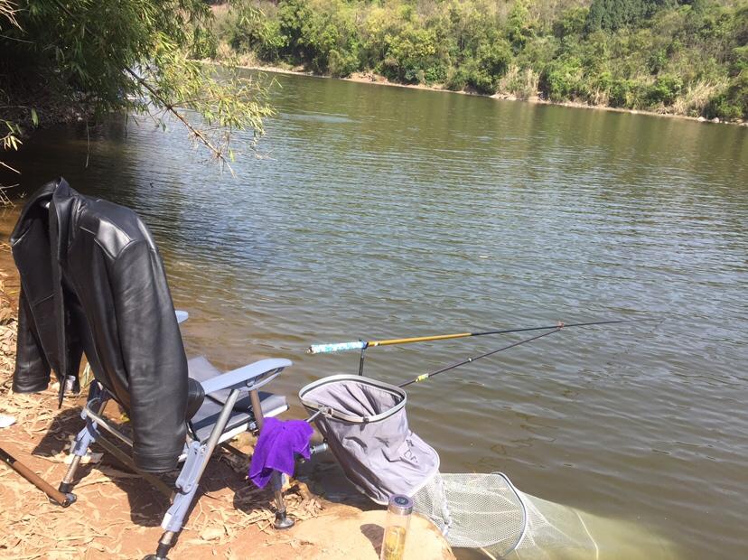 山門(mén)寺水庫釣魚(yú)最新指南，垂釣攻略與技巧分享