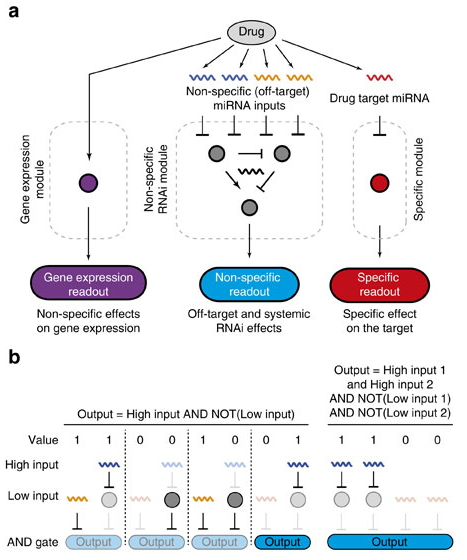 新澳精準資料大全,定量解析解釋法_VRI83.899融合版