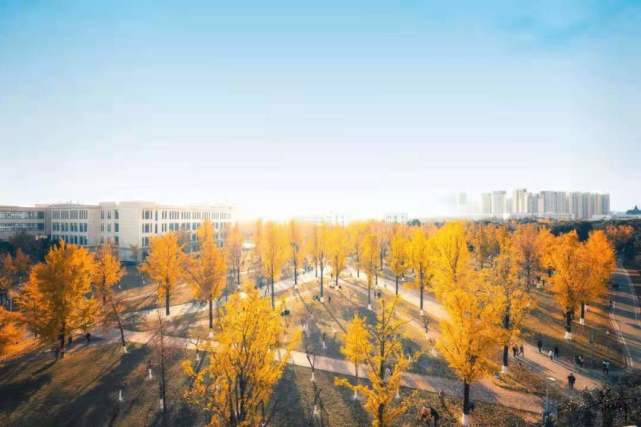 新澳2024今晚開(kāi)獎資料澳門(mén)正版圖,科學(xué)解釋分析_KCD85.482定義版