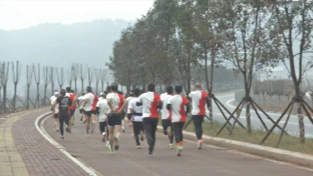 古田環(huán)湖路最新動(dòng)態(tài)揭秘，時(shí)代脈搏與城市發(fā)展的融合之路