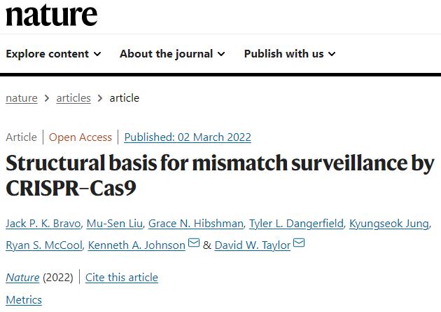 新澳開(kāi)獎結果資料查詢(xún),安全設計解析說(shuō)明法_PIA47.734觸感版