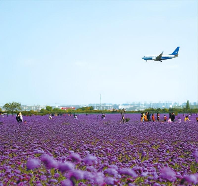 蘭州新區最新招工信息及小巷風(fēng)味小店探秘