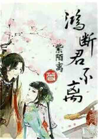 沈南汐最新小說(shuō)，知識的力量，成就夢(mèng)想的翅膀之路