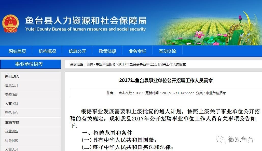 魚(yú)臺最新招聘信息大全，求職步驟指南與招聘信息更新速遞