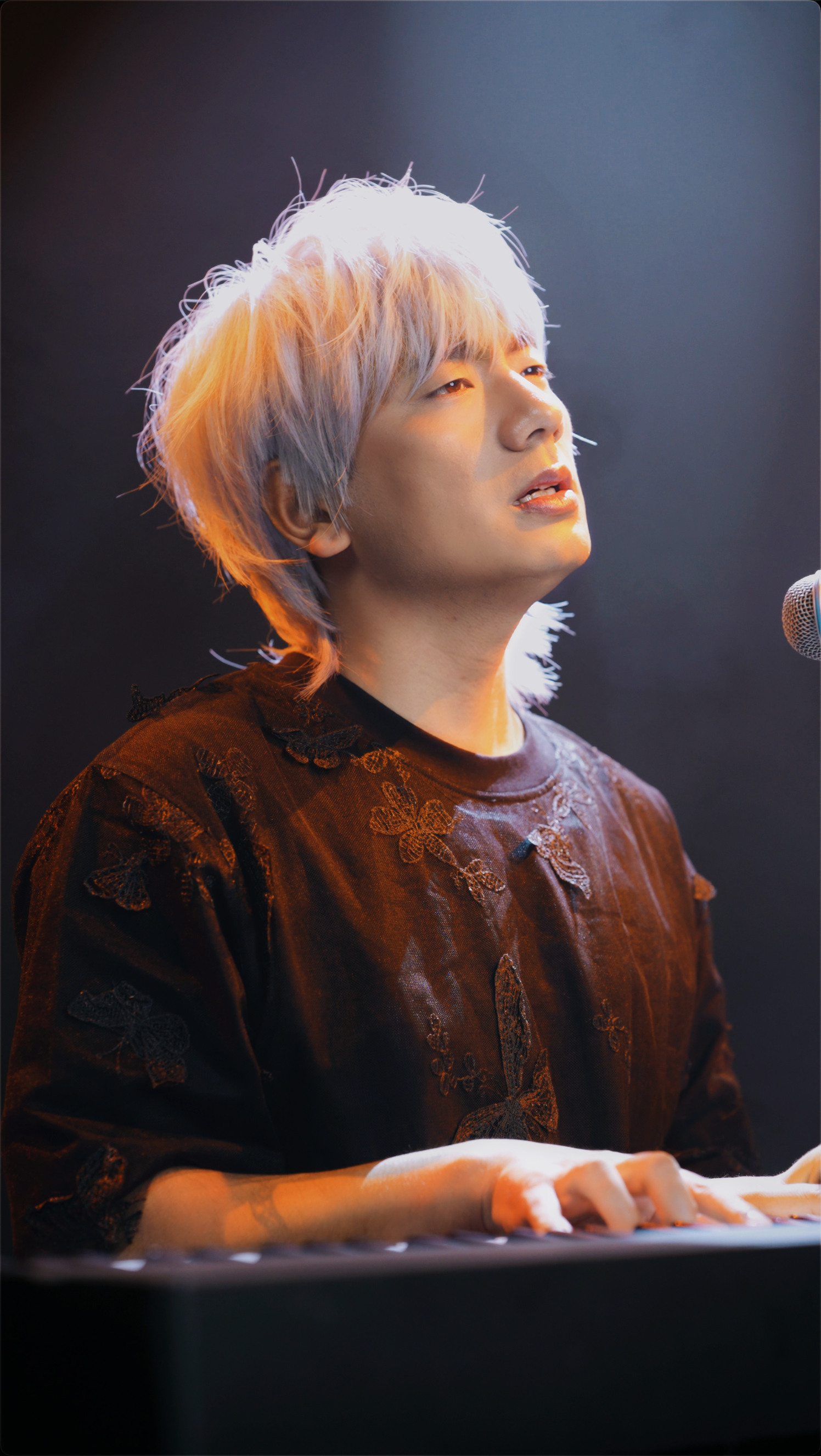 冷漠2024最新預告新歌，音樂(lè )與時(shí)代交融的期待之聲