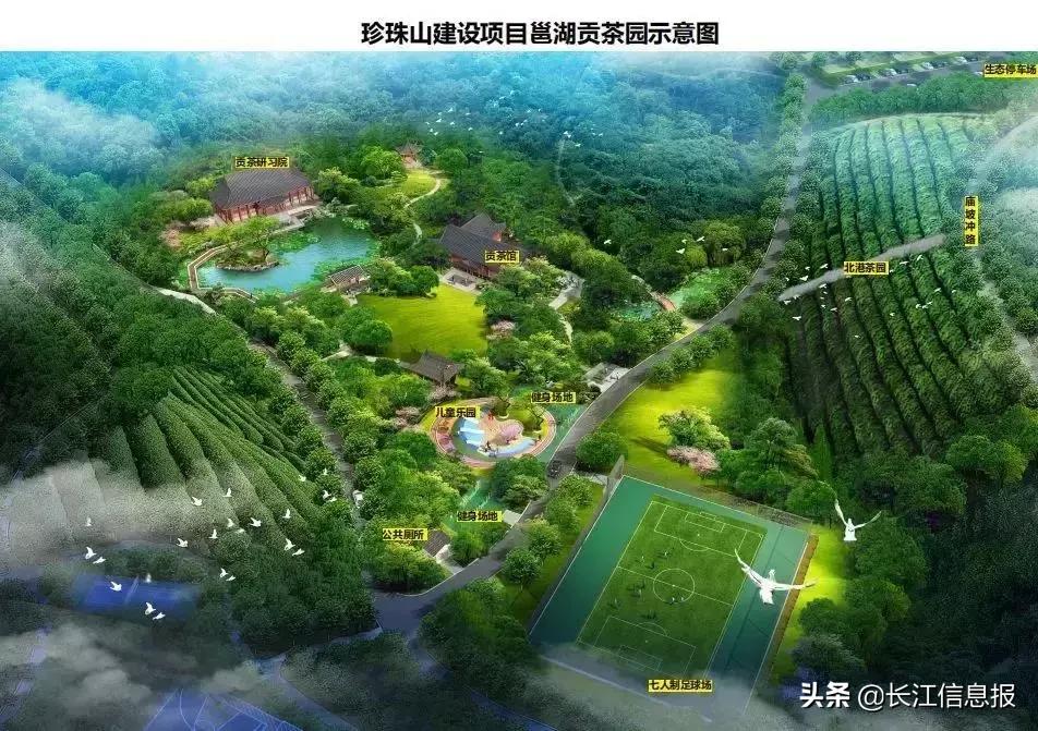 岳陽(yáng)北港小學(xué)最新動(dòng)態(tài)揭秘，校園新聞與活動(dòng)更新