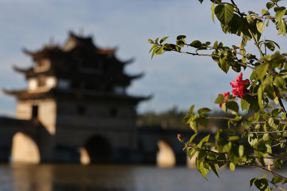 大冰最新力作，智能生活新紀元——科技與生活的完美融合