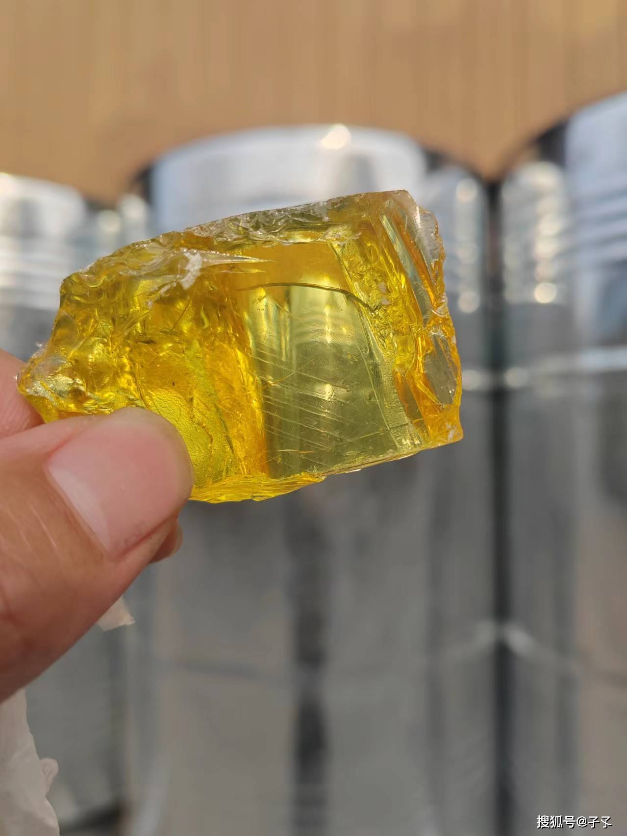 廣西2024年松脂價(jià)格走勢及分析