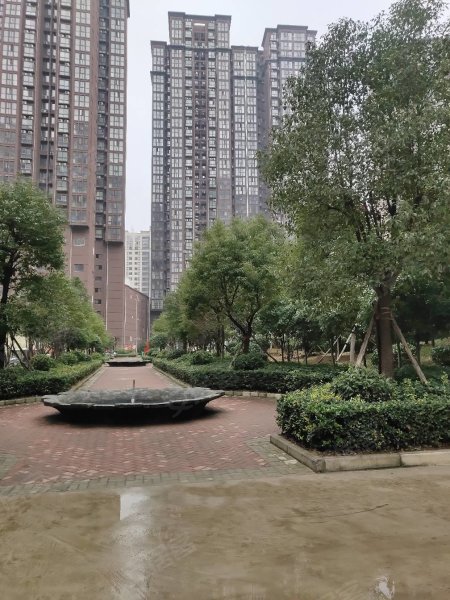 南陽(yáng)盛世御苑最新動(dòng)態(tài)揭秘，全面指南與步驟詳解