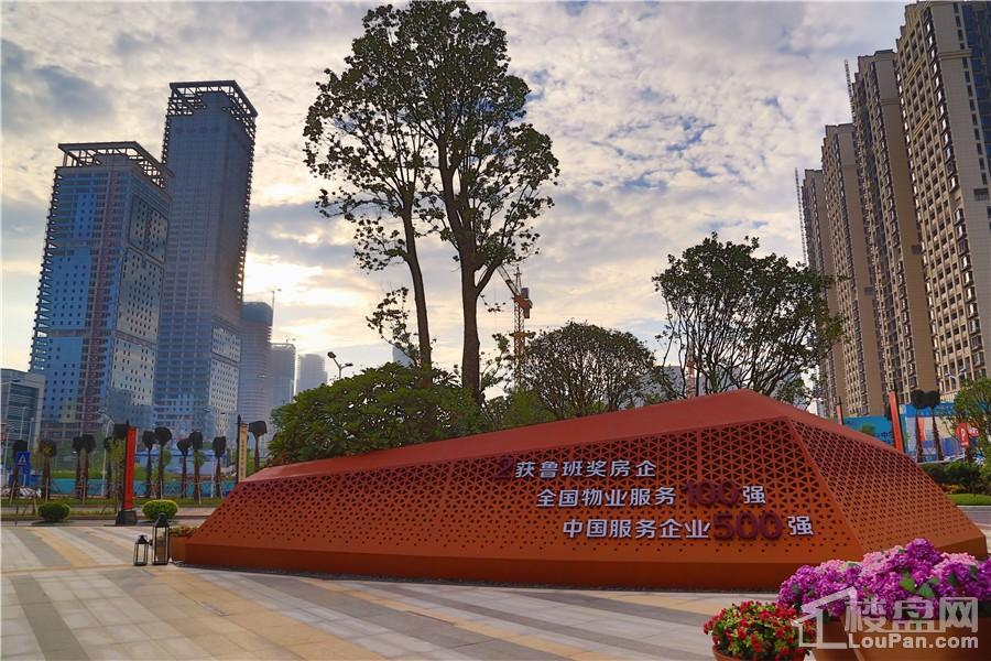 南寧彰泰城最新動(dòng)態(tài)，解讀其最新發(fā)展及影響的一種觀(guān)點(diǎn)分析