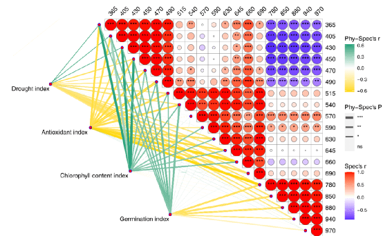 新澳門(mén)資料大全正版資料？奧利奧,科學(xué)解釋分析_增強版40.269