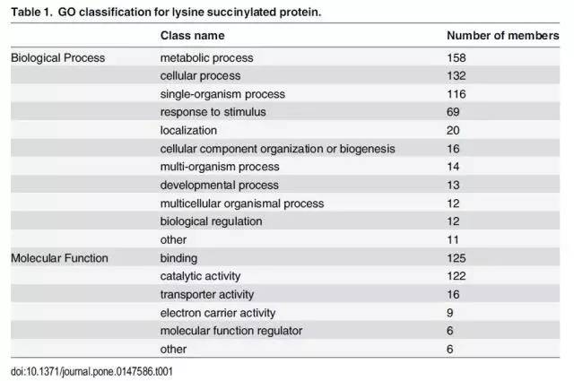 奧門(mén)開(kāi)獎結果+開(kāi)獎?dòng)涗?024年資料網(wǎng)站,精細化方案決策_云技術(shù)版74.496