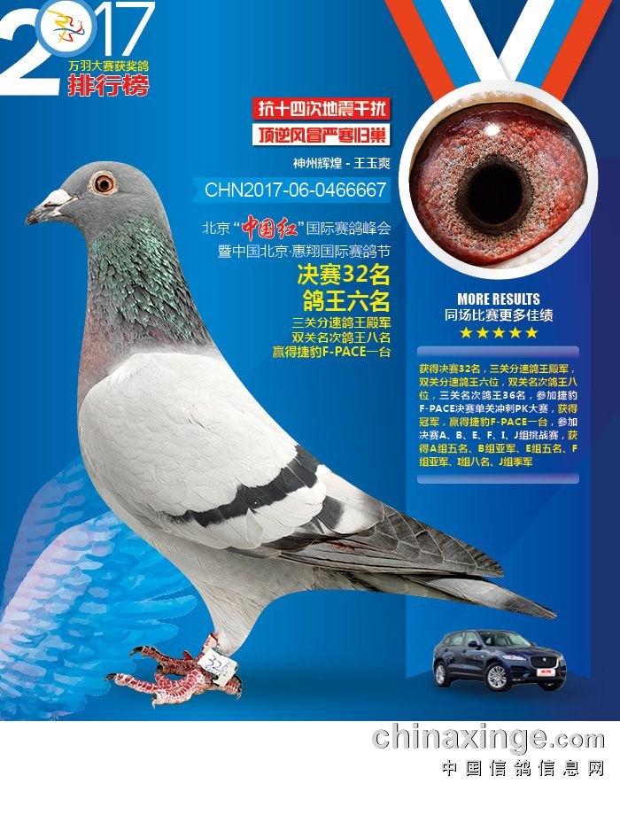 王中王100℅期期準澳彩,全身心解答具體_養生版8.595