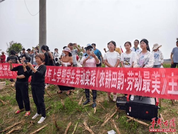 桃源木塘垸鄉新動(dòng)態(tài)，趣事連連，真摯友情綻放鄉間