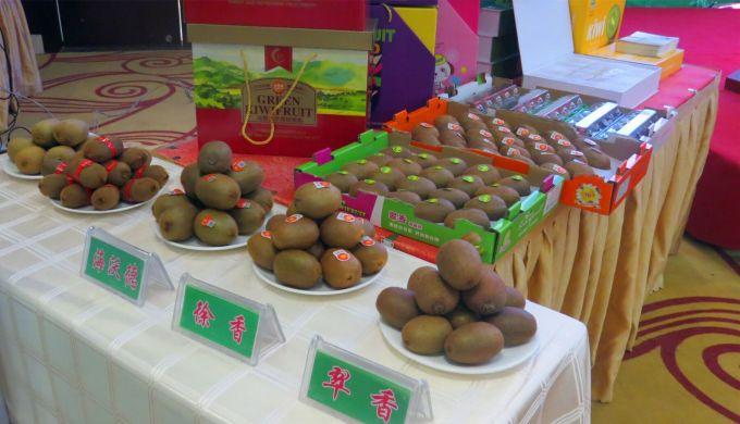 嘉興對接上海最新進(jìn)展，城市崛起中的自信與成就感展現新面貌