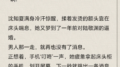 夏知晚官逸景最新章節,夏知晚官逸景最新章節，探尋故事的魅力轉折