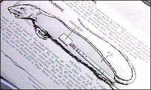 美國填尸最新進(jìn)展，高科技重塑生活，未來(lái)科技魅力體驗