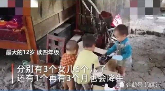 廣西最新預情，自然美景探索之旅，喚醒內心平靜之旅