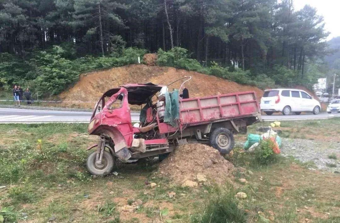 平山事故背后的溫馨故事，友情、愛(ài)與陪伴的奇遇