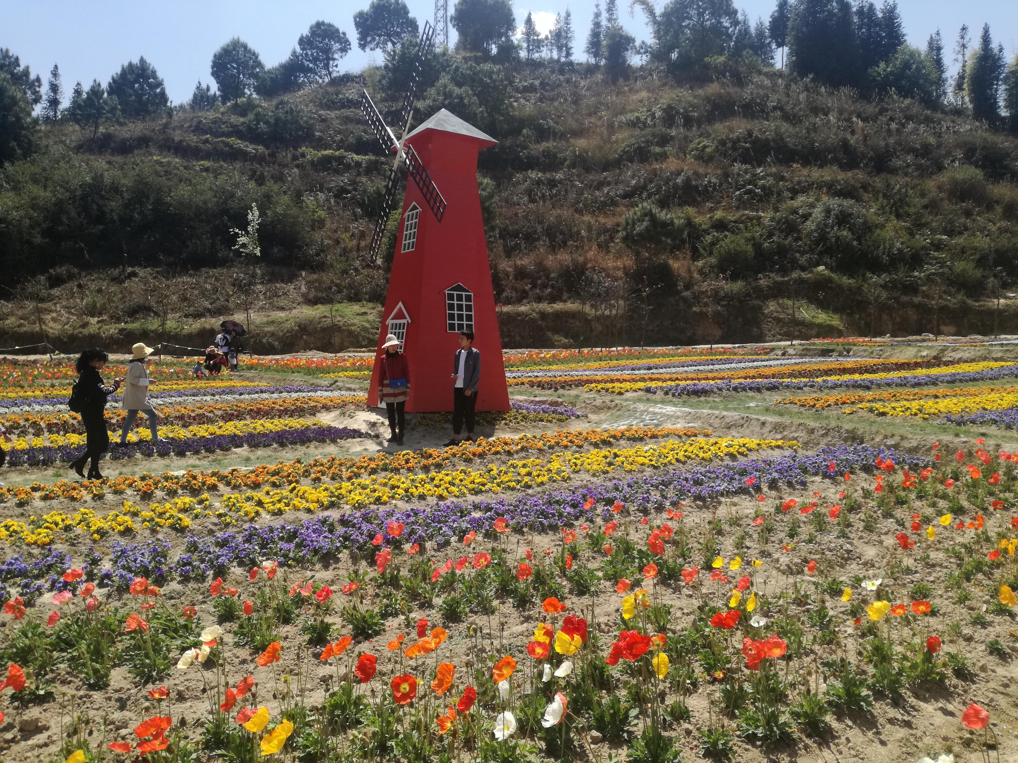 臨滄市最新探索，自然美景之旅，尋找內心平和的旅程