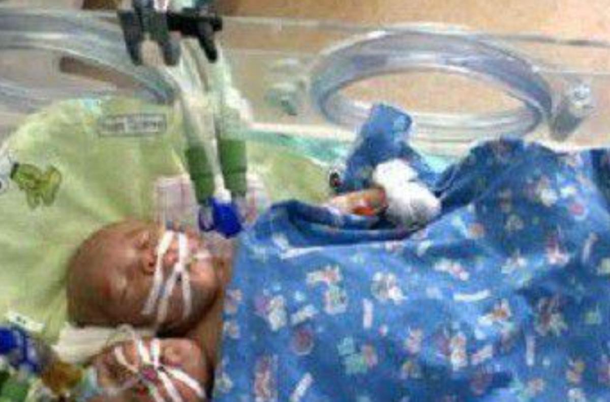 雙頭姐妹，時(shí)代背景下的傳奇故事最新進(jìn)展