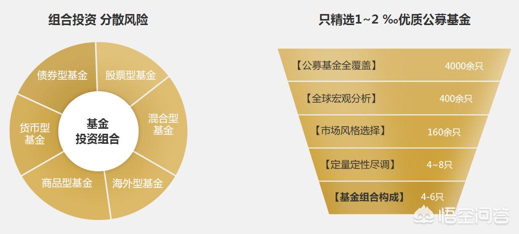 深度解析，今年養雞產(chǎn)業(yè)趨勢與前景展望