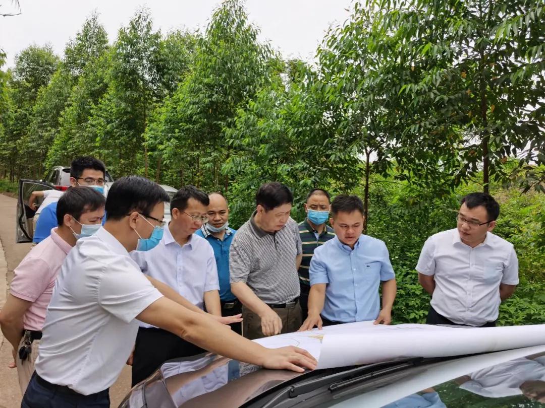 南寧龍象谷最新資訊，游玩指南與技能學(xué)習步驟全解析