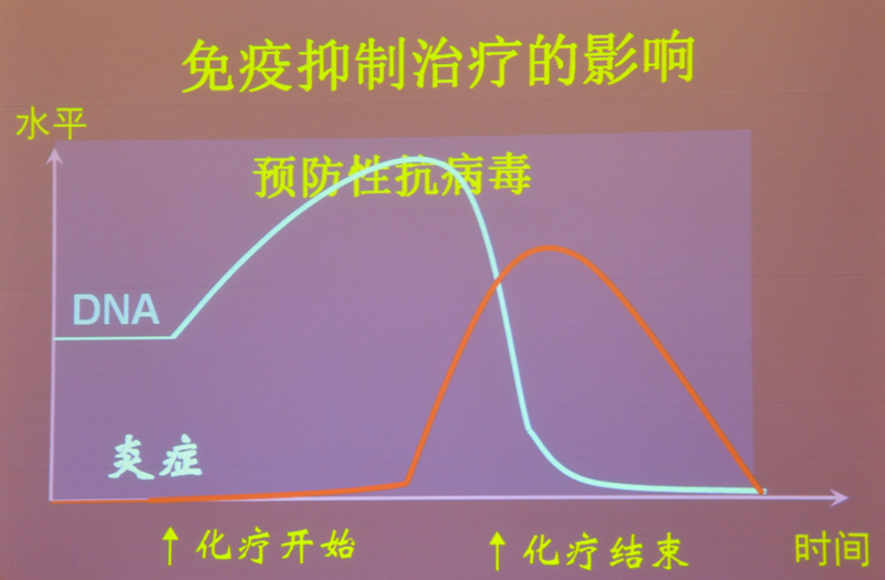 肝炎新進(jìn)展揭秘，小巷深處的秘密小店探索