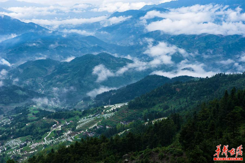 雪峰山資訊，一段溫馨有趣的探索之旅