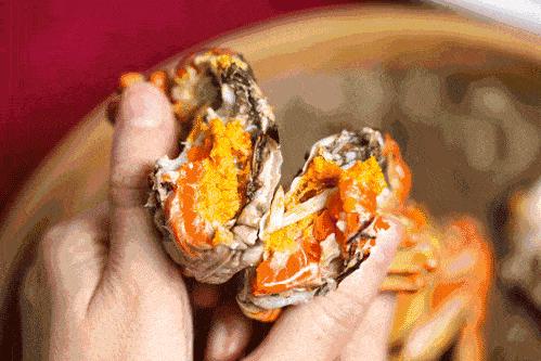 ??陽(yáng)澄湖螃蟹上市季節情報，吃貨必知的秋季美味盛宴！??