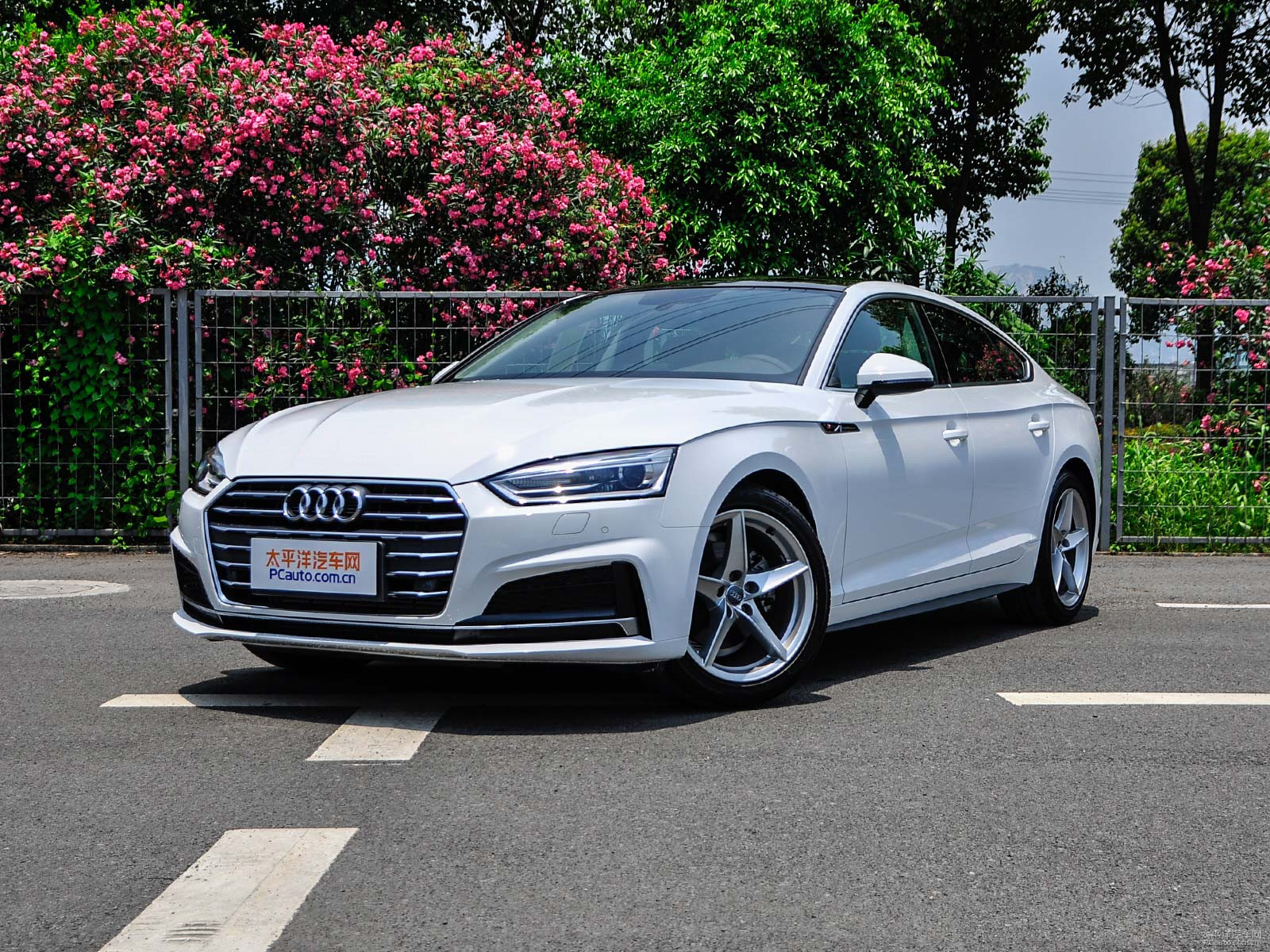 新款奧迪A5價(jià)格及圖片，自然美景探索之旅的絕佳選擇