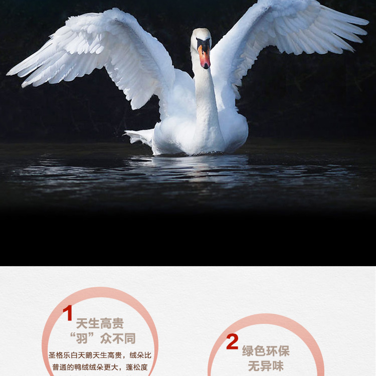 探索小巷羽絨寶藏，90白鵝絨價(jià)格與溫暖故事