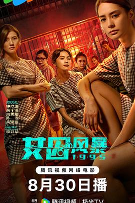 淘君爹最新影片，小巷深處的電影寶藏探索