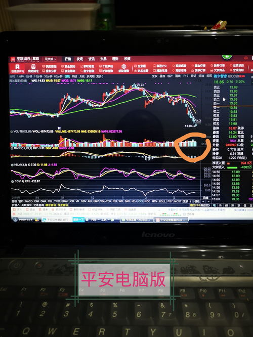 股票電腦版，開(kāi)啟溫馨的股市之旅