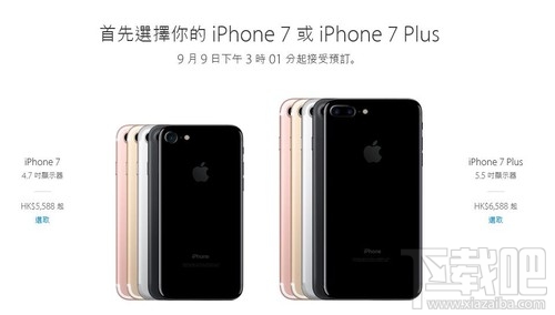 香港蘋(píng)果最新價(jià)格揭秘，小巷深處的驚喜發(fā)現